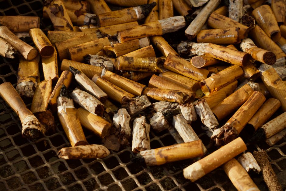 A close-up image of numerous cigarette butts scattered across a dark, textured surface, possibly a metal grate or mesh. The cigarette remains vary in length and are primarily in shades of light to medium brown, with some darker charred tips indicating recent use. The filters are visible, with some showing white or light-colored fibers, while others are stained or partially burnt. Many of the cigarette butts are crushed or crumbled, revealing white ash and burnt tobacco inside. This scene highlights the accumulation of smoking waste in an outdoor environment, with the butts loosely piled and overlapping each other. The lighting is even but slightly subdued, emphasizing the textures and burnt residue on the cigarette ends, which could be part of waste collection or cleaning activities involving cigarette disposal management. The context aligns with waste removal services handling smoking-related litter, such as those provided by House Clearance Kennington, in areas where cigarette waste may be collected separately or as part of general rubbish removal.